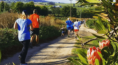 Route 44 Parkrun Views